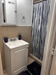 La salle de bains est pourvue d'un lavabo et d'une douche. dans l'établissement Miami Breeze Studio, à Miami Gardens