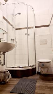 y baño con ducha, aseo y lavamanos. en Hotel-Garni "Zum Löwen" en Bad Freienwalde