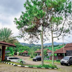 Paesaggio naturale nelle vicinanze dell'hotel