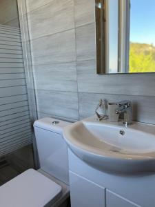 a bathroom with a sink and a toilet and a mirror at Alseides Villas in Chortáta