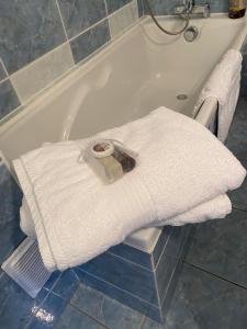 a white towel sitting on the side of a bath tub at Studio chaleureux avec vue sur la Seine in Boulogne-Billancourt