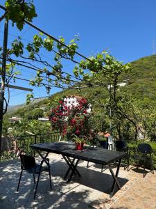 ルコヴァにあるLida's Houseの花の上に飾られたピクニックテーブル +71枚の写真