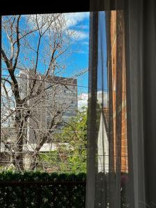 a window with a view of a tree and a building at Prishtina Guests in Prishtinë +10 photos