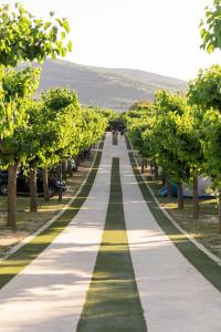 drogą wysadzaną drzewami w parku w obiekcie Vall d'Àger Resort & Camping w mieście Ager