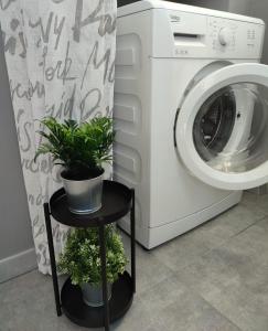 a laundry room with a washing machine and a table with plants at Vista sull'Eremo in Naples