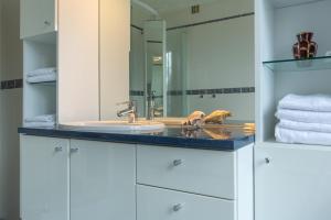 un bagno con lavandino e specchio di Chez Maryse et Guy - Bel Appt pour 4 avec jardin a La Ville-aux-Clercs Altre 7 foto