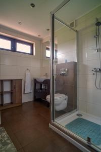a bathroom with a glass shower and a toilet at Apartament Kaszubski in Ostrzyce