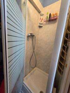 een douche met een slang in de badkamer bij Appartement front de mer vue mer 3 personnes + 1 bebe in Hermanville-sur-Mer