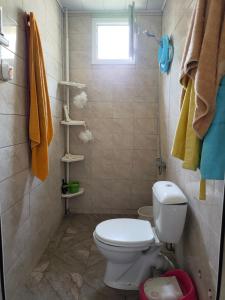 y baño con aseo blanco y ducha. en Family House at Baku Olympic Stadium en Bakú