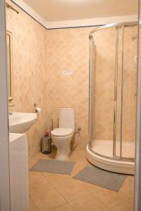 een badkamer met een toilet en een douche bij Villa Apartments Giruliai XIX - Prime Rentals in Klaipėda