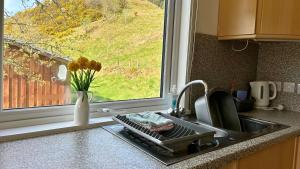 een aanrecht met een vaas met bloemen naast een raam bij Skye in Oban +7 foto's