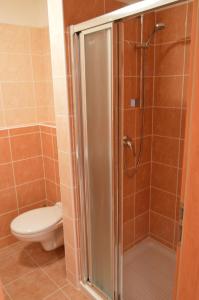 a shower stall in a bathroom with a toilet at Studio 37 Třeboň in Třeboň