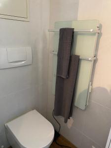 インターラーケンにあるChalet Studio Apartment with Airconの小さなバスルーム(トイレ、タオル付) +45枚の写真