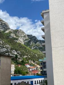 una vista desde un edificio con montañas en el fondo en Kruja Shared Apartment, en Krujë