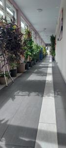 Fotografie z fotogalerie ubytování Hotel Belp Bern Airport Free Parking v destinaci Belp