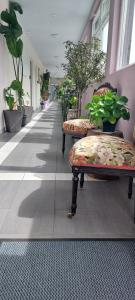 Fotografie z fotogalerie ubytování Hotel Belp Bern Airport Free Parking v destinaci Belp