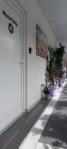 Fotografie z fotogalerie ubytování Hotel Belp Bern Airport Free Parking v destinaci Belp