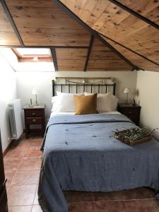 1 dormitorio con cama grande y techo de madera en Chanin I, en Pinilla de los Barruecos