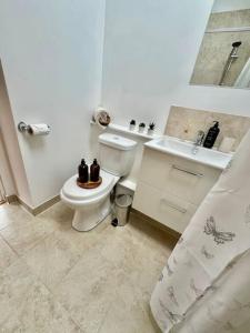 a bathroom with a toilet and a sink at Dog friendly barn conversion in the Wye Valley in Mitchel Troy