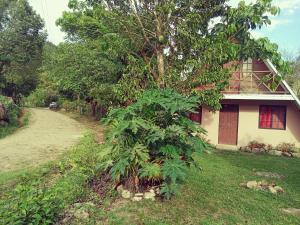 una casa con un albero vicino a una strada sterrata di Hostal claire a El Quije