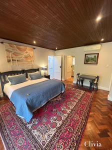 1 dormitorio con 1 cama grande y 1 alfombra en Pinoak Self Catering Cottages - Constantia, en Ciudad del Cabo
