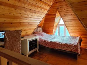 - une chambre avec un lit et une télévision dans l'établissement Family House at Baku Olympic Stadium, à Baku