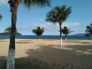 three palm trees on a sandy beach with the ocean at Flat Três Praias in Angra dos Reis