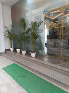 a group of potted plants inront of a building at Hotel Ambience Palace Near IGI Airport Delhi in New Delhi