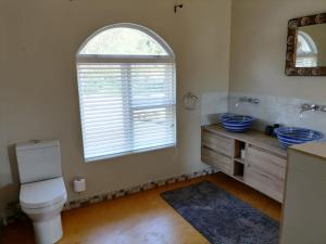 a bathroom with a toilet and a window at Shingalana Cottages in White River +47 photos