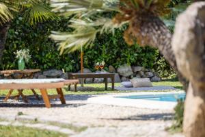a pool with two benches and a table and a palm tree at Villa Niloan Olbia in Olbia
