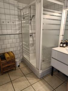 a bathroom with a shower and a sink at Les Pieds dans l'eau, Gîte Le Blagour in Lachapelle-Auzac