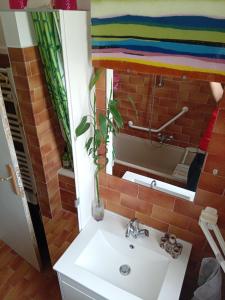 ein Bad mit einem Waschbecken und einem Spiegel in der Unterkunft T3 campagne Aix-en-Provence in Meyrargues