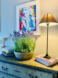 una lampada e una pianta su un tavolo con libri di Beautiful 4-Bed House in Kildare a Kildare