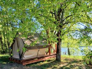 una tenda sotto un albero in un cortile di Les Auzerals camping du lac a Rabastens