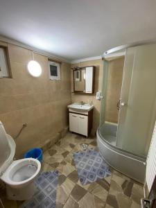 y baño con ducha, aseo y lavamanos. en Sinaia Rooms 25, en Sinaia