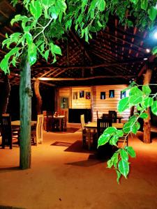 restauracja ze stołami, krzesłami i drzewem w obiekcie Elegarden hotel and Restaurant Udawalawe w mieście Udawalawe