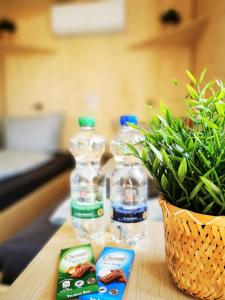 two bottles of water and a potted plant on a table at Tiny Guesthouse Herdt Euerbach 