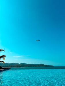 een vliegtuig dat over de oceaan vliegt met een palmboom bij Jesselton Quay by MS in Kota Kinabalu