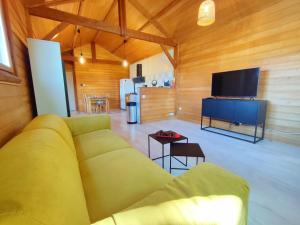 TV a/nebo společenská místnost v ubytování Le Chalet de Malause