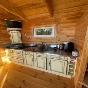 una cocina en una cabaña de madera con fregadero en La roulotte du verdon, en Quinson