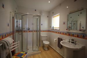 a bathroom with a shower and a toilet and a sink at Spacious seaside family house in Aberdaron with large garden and stunning sea views in Aberdaron +54 photos