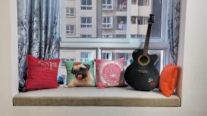 班加羅爾的住宿－SOLACE Premium 3BHK Apartment Manyata Tech Park and Mall of Asia，一只狗坐在沙发上,沙发上,有枕头和吉他