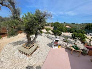 a tree sitting on top of a gravel yard at Trullo Del Salento in San Vito dei Normanni