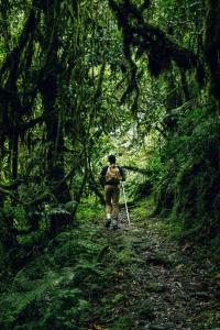 a man walking on a trail in the woods at One&Only Nyungwe House in Rwumba