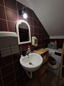 a bathroom with a sink and a mirror and a toilet at Sofi II in Niš
