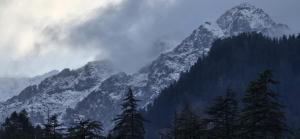 a snow covered mountain with trees in front of it w obiekcie The Suraj lodge, Hadimba Road Manali w mieście Manāli