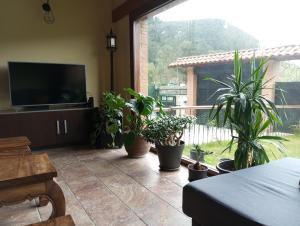 a living room with potted plants and a large window at La Casa Malvarrosa in Ampuero