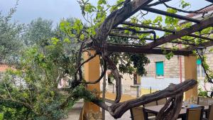 Zahrada ubytování Sardinianworld - Villa Caterina