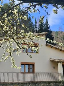 una casa blanca con un árbol delante en CASA MONTEPINAR, en Cazorla