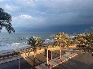 a view of a beach with palm trees and the ocean at Mahdia vue sur mer 2 in Hiboun